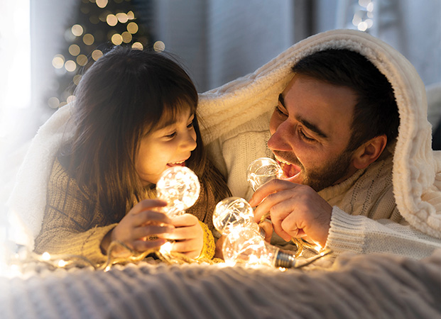 Powervolt - The Most Reliable Voltage System